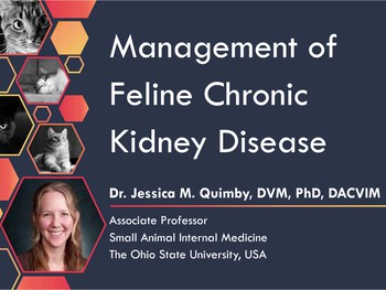 Image showcasing Management of feline chronic kidney disease | HSTalks