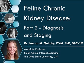 Feline chronic kidney disease: diagnosis and staging | HSTalks