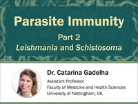 Parasite immunity: Leishmania and Schistosoma