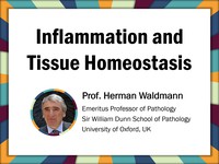 Inflammation and tissue homeostasis