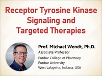 Receptor tyrosine kinase signaling and targeted therapies