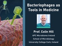 Bacteriophages as tools in medicine