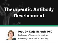 Therapeutic antibody development
