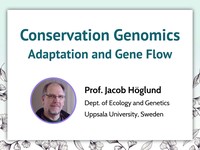 Conservation genomics: adaptation and gene flow
