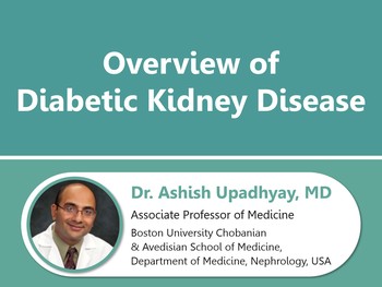 Overview Of Diabetic Kidney Disease | HSTalks