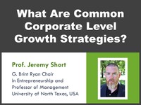 What are common corporate level growth strategies?