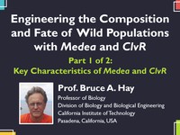 Engineering the composition and fate of wild populations with Medea and ClvR