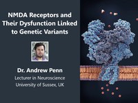 NMDA receptors and their dysfunction linked to genetic variants