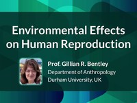 Environmental effects on human reproduction