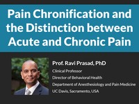 Pain chronification and the distinction between acute and chronic pain