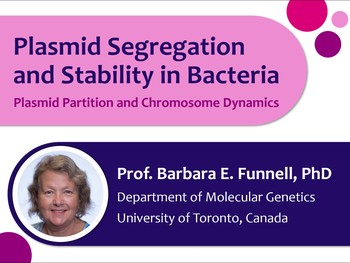 Plasmid segregation and stability in bacteria | HSTalks