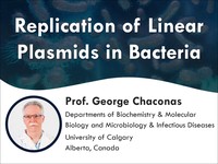 Replication of linear plasmids in bacteria