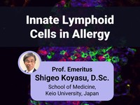 Innate lymphoid cells in allergy