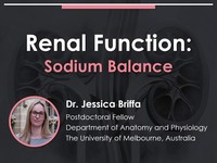 Renal function: sodium balance