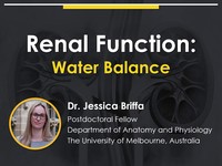 Renal function: water balance
