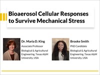 Bioaerosol cellular responses to survive mechanical stress