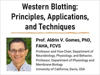 Western blotting: principles, applications, and techniques