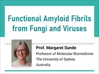 Functional amyloid fibrils from fungi and viruses