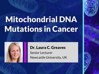 Mitochondrial DNA mutations in cancer