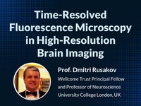 Time-resolved fluorescence microscopy in high-resolution brain imaging