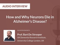How and why neurons die in Alzheimer's disease?