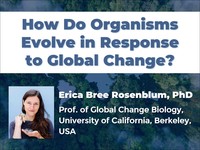 How do organisms evolve in response to global change?