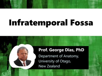 Infratemporal fossa | HSTalks