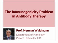 The immunogenicity problem in antibody therapy