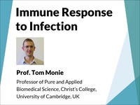 Immune response to infection