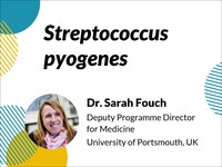 Streptococcus pyogenes