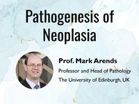 Pathogenesis of neoplasia