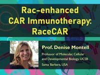 Rac-enhanced CAR immunotherapy: RaceCAR