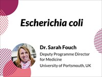 Escherichia coli