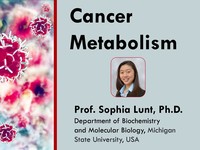Cancer metabolism