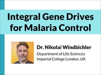 Integral gene drives for malaria control