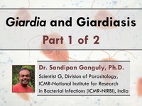 Giardia and giardiasis