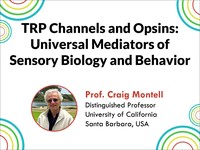 TRP channels and opsins: universal mediators of sensory biology and behavior