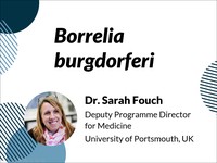 Borrelia burgdorferi