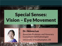 Special senses: vision – eye movement