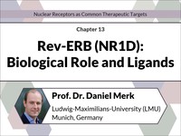 Rev-ERB (NR1D): biological role and ligands