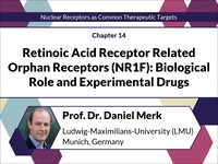 Retinoic acid receptor related orphan receptors (NR1F): biological role and experimental drugs