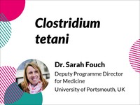 Clostridium tetani