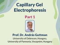 Capillary gel electrophoresis 1