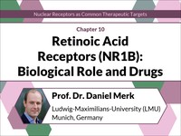 Retinoic acid receptors (NR1B) - biological role & drugs