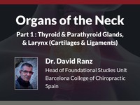 Organs of the neck: thyroid & parathyroid glands, & larynx (cartilages & ligaments)