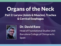 Organs of the neck: larynx (joints & muscles), trachea & cervical esophagus