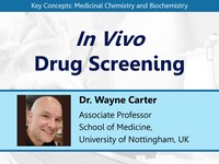 In vivo drug screening