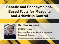 Genetic and endosymbiont-based tools for mosquito and arbovirus control