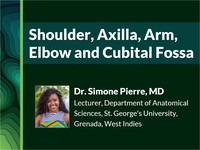 Shoulder, axilla, arm, elbow and cubital fossa