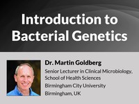 Introduction to bacterial genetics